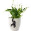 Chimpanzee Pot Buddy Pot Hanger
