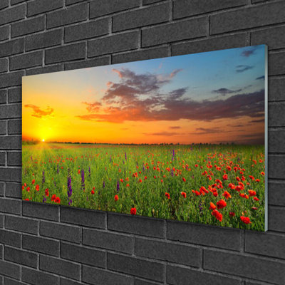 Nature Sun Meadow Flowers 1 Piece Wall Art on Glass