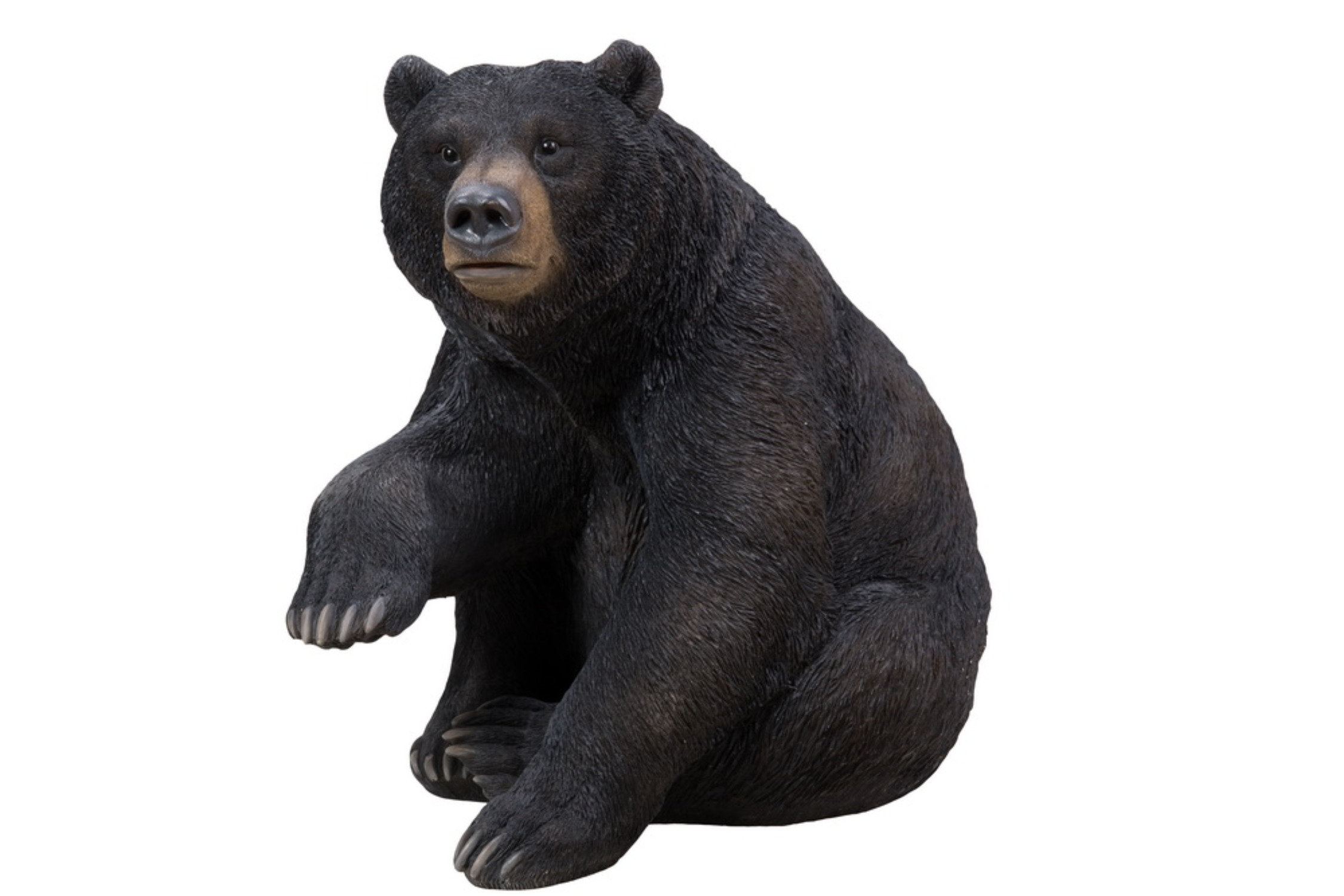 Hi-Line Gift Ltd. Seated Bear Statue & Reviews | Wayfair