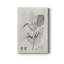 «Vintage Leaves III», reproduction sur toile tendue-728671695