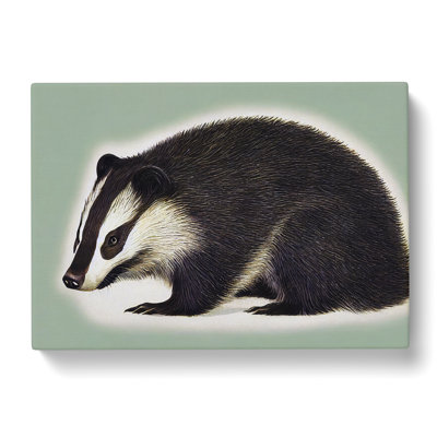 Modern Badger Art - Wrapped Canvas
