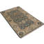 Piccarda Oriental Area Rug in Blue