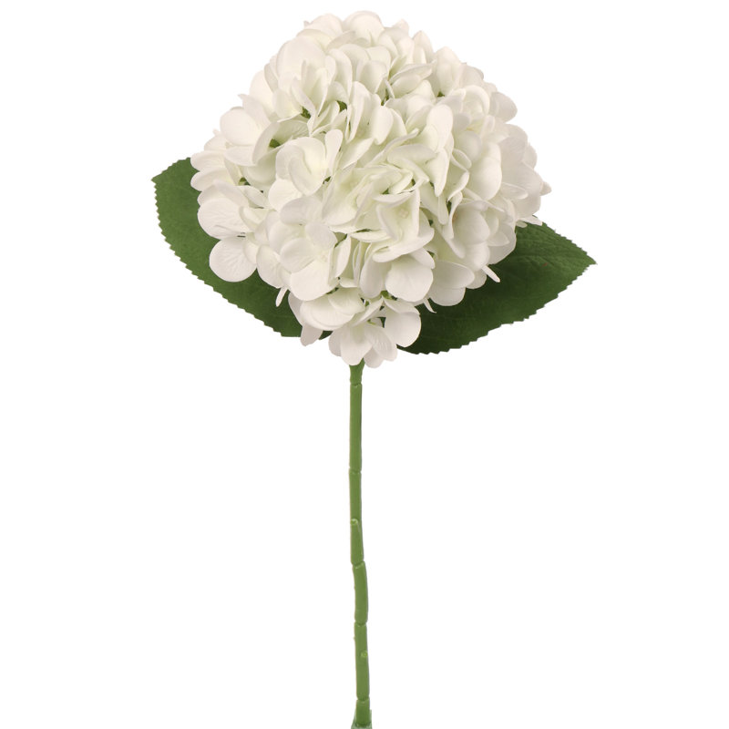 Tige d'hortensia blanche intemporelle de 18 po - diamètre classique de 7 po