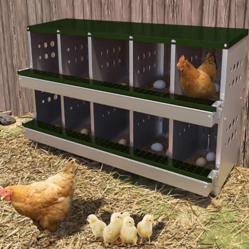 Boîte de nidification à 10 compartiments pour poules pondeuses en métal, Vert / nickel brossé, H 25 po x l 45 po x P 17 po