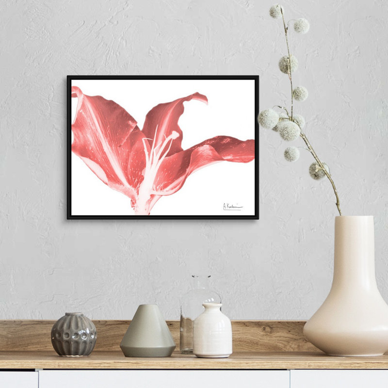Reproduction d’art sur toile, "Coral Blossom 2" par Albert Koetsier, H 14 po x l 18 po x P 1,75 po, Toile avec cadre noir