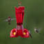 Mangeoire colibri en plastique Elsass