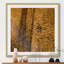 Karolis Janulis - Single Picture Frame Print-1312303601