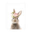 Lola Peacock Floral Bunny Canvas Art-1261653354