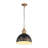 Regena 1-Light Pendant in Vintage Gold-106853597