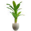 Inoke Planters Handmade Pot Planter-110913204
