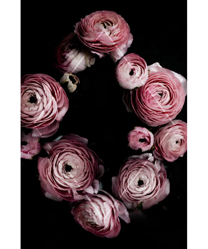 Wrapped Canvas Print, 91.44 cm H x 60.96 cm W