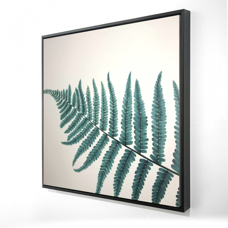 «Beautiful Fern»