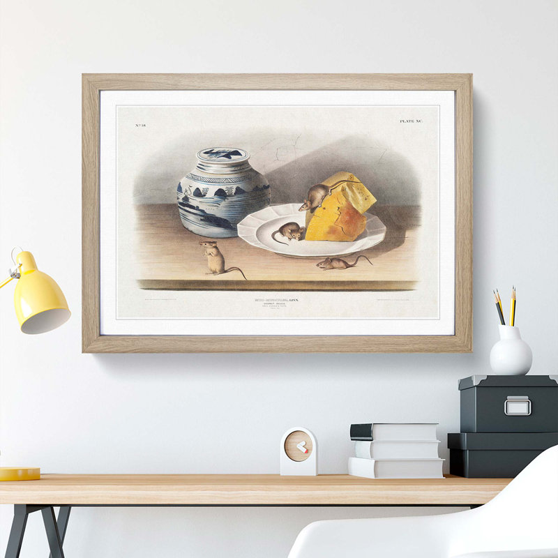 Mice by J.W. Audubon - Framed Print, 36cm H x 48cm W x 2cm D, Oak Framed