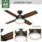 Dempsey 44" 4 - Blade Standard Ceiling Fan with Lights and Remote-56213875