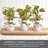 Mikasa Set of 3 Plastic Artificial Lamb's Ear Greenery