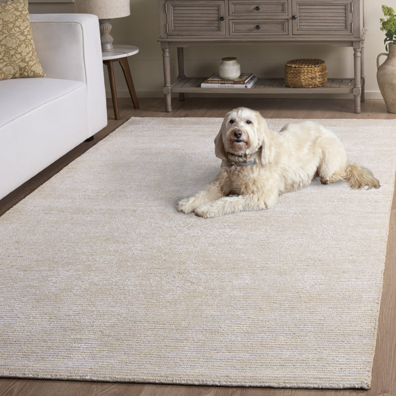 Tapis d'intérieur en coton de couleur unie touffeté à la main Soho, Rectangle de 5 pi x 8 pi