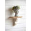 Petit vase mural en ciment 6,7 x 5,5 x 8,7 po Visage