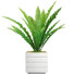 Plante grasse artificielle Bragdon en pot