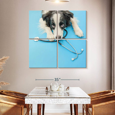 Brampt Dog Doctor