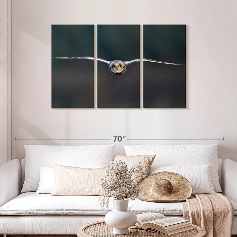 Brampt Owl Mid Air, 28" H x 45" W