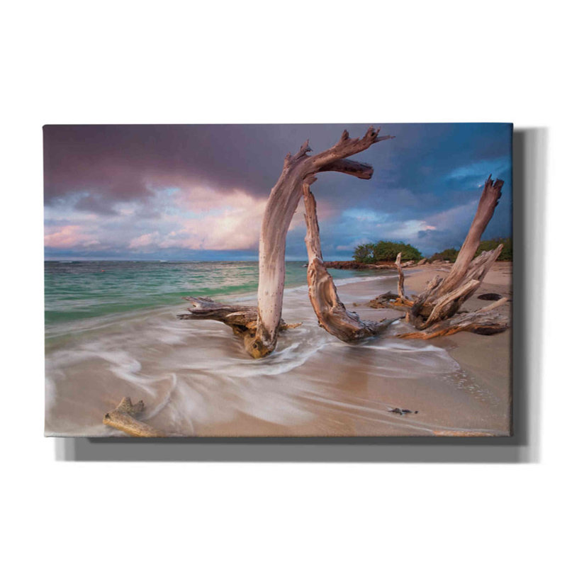 «Driftwood Sunset», impression sur toile tendue, H 40 po x l 60 po x P 1,5 po