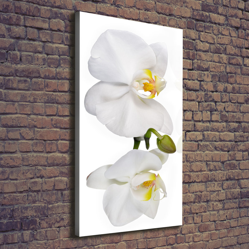 White Orchid - Wrapped Canvas Print