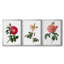 Botanical Beauty I - Toile tendue avec châssis sur mesure - 3 pièces-45168236-45168208