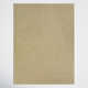 Lynne Khaki Rug