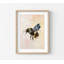 Flying Bumblebee, reproduction d'aquarelle (encadrée ou non, décoration murale)-1764032915-1764032917-1764043948