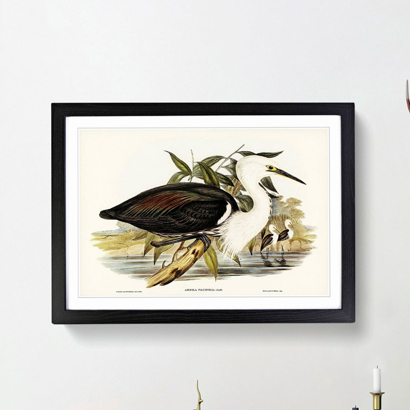 Pacific Herons by Elizabeth Gould - Picture Frame Painting Print, 27cm H x 36cm W x 2cm D, Black Framed