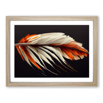 Bird Feather - Single Picture Frame Print