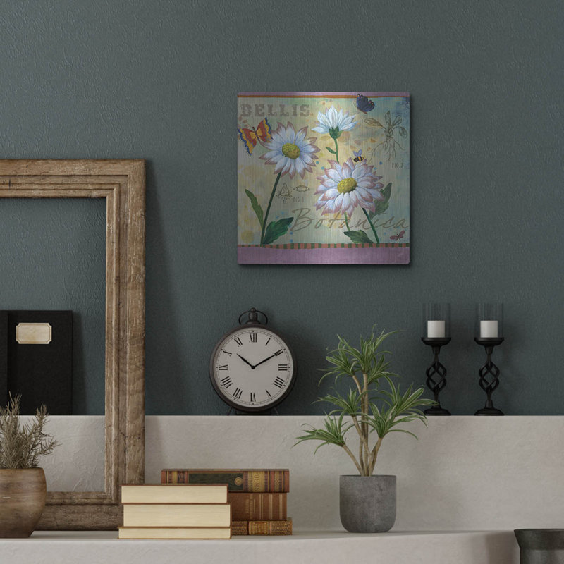  «Bellis Botanica» par Fiona Stokes-Gilbert, art mural en métal, 12 po x 12 po