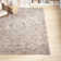 Cantrell Oriental Indoor Rug