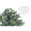 Olive artificielle en pot-748669070