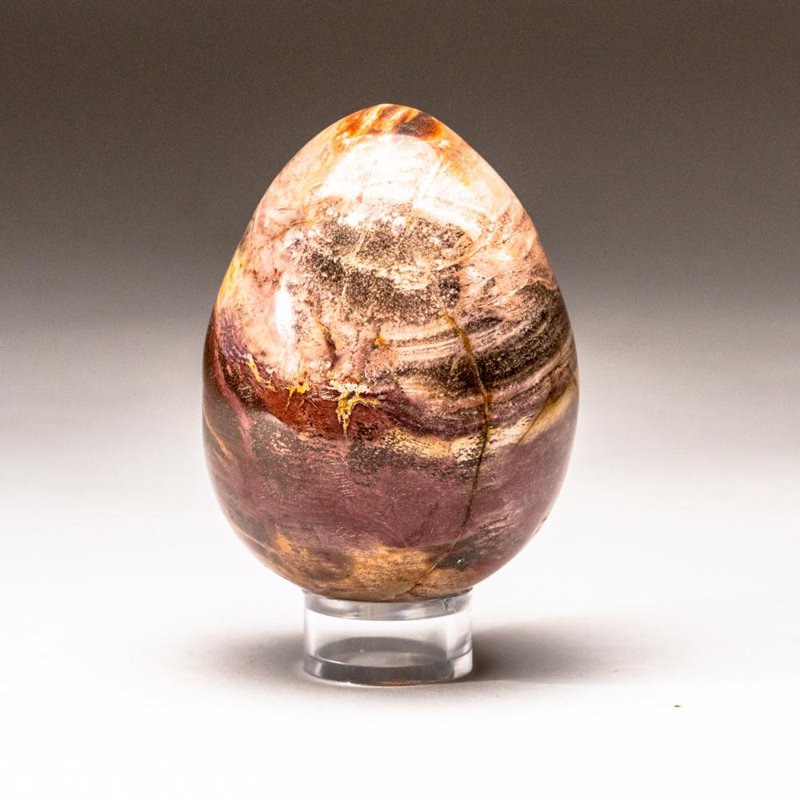 Petrified Wood Egg, Orange/Yellow/Brown, 3" H x 2" W x 2" D