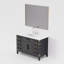 Ensemble de miroir de meuble-lavabo simple l 48 po x P 22 po Laurel-82319174-113385135