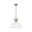 Luminaire suspendu 1 lumière avec tige Bryceton-107150026-107150037