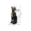 Table d'appoint en résine Dog Dog-1042903148