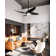 Coronado 55.62'' Ceiling Fan with LED Lights