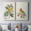 Oiseau en toile tendue avec châssis V-Premium - prêt à être accroché-108956369