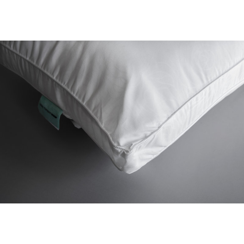 Ensemble de 2 coussins en polyester Ashley Thompson, Grand