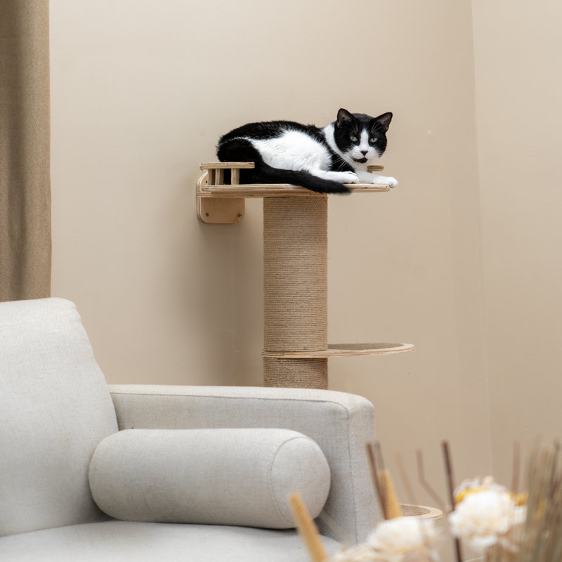 Deedrick Scratching Post