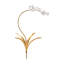 Tulip Orchid Stem-22694675