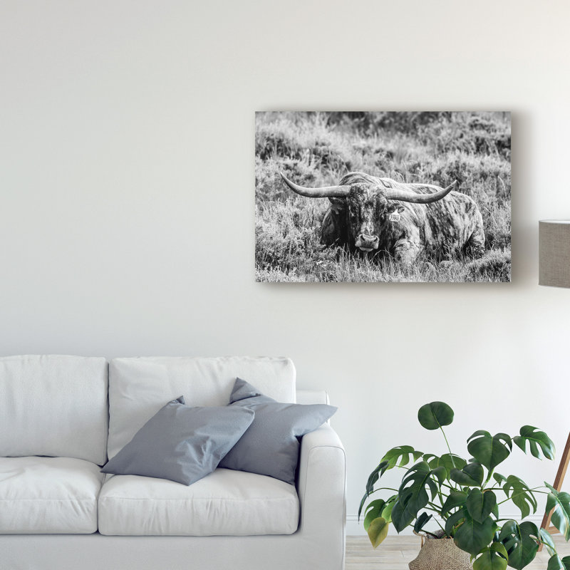 « b&w longhorn iii », photographie sur toile tendue, H 12 po x l 19 po x P 2 po