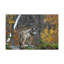 Impression d'art loup majestueux-67945696