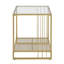 Darleen Glass Top Frame End Table