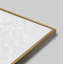 Modern Botanical, Set Of 2 by Lee Lessem-88500179-88500178