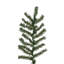 Arbre de Noël pin alpin-187167542