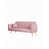 Rose est en rupture de stock