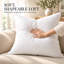 Luxueux ensemble de 1 coussin décoratif en duvet blanc 100% blanc - housse 100% coton, duvet de qualité supérieure, plusieurs tailles-93653176